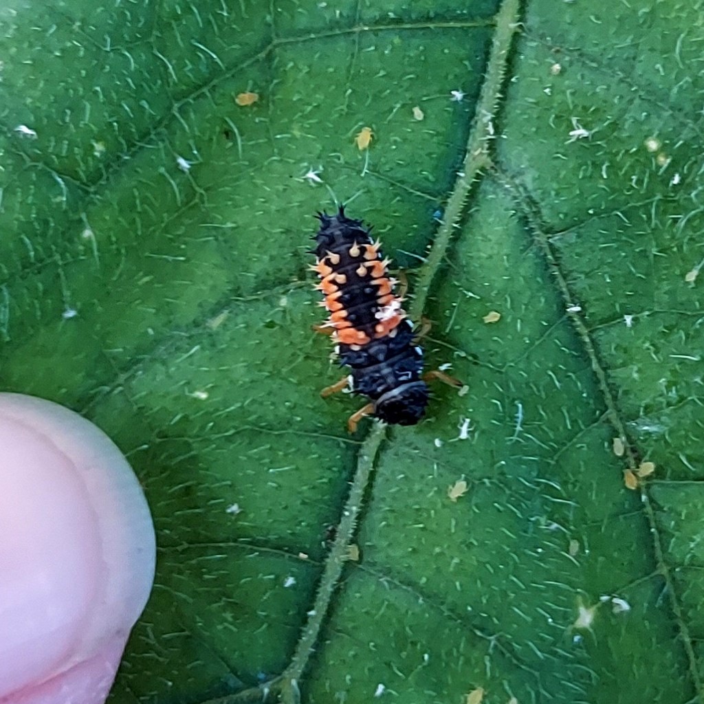 Our Philosophy (part 2 of many)