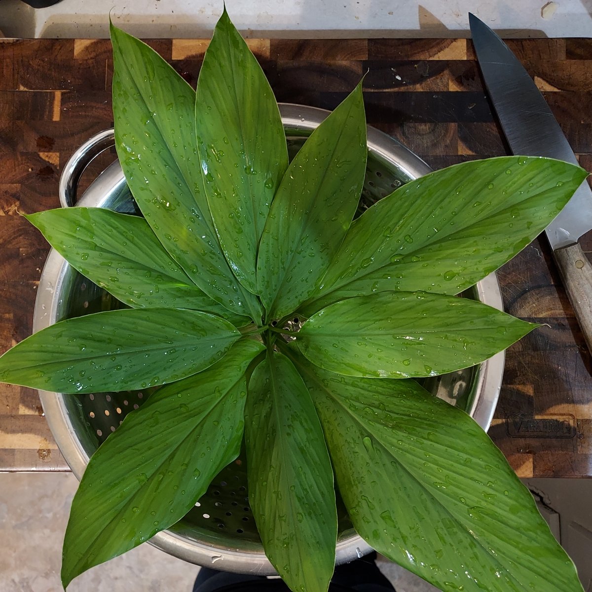 Our Philosophy (part 1 of many)